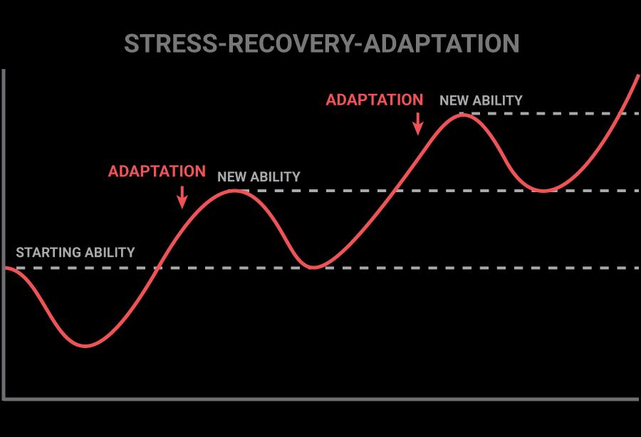 Adaptive Training Visualization