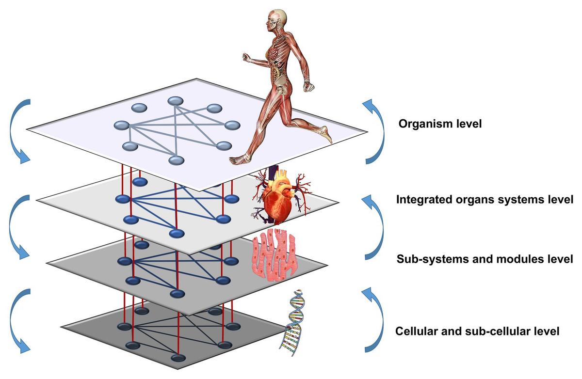 Scientific Research Visualization